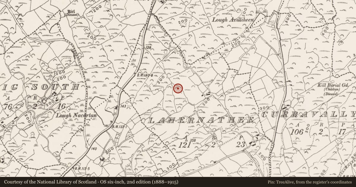 Ordnance Survey six-inch map, 2nd edition (1888–1915) covering the location of Enclosure, Lahernathee, County Cork, with a pin at the register's coordinates