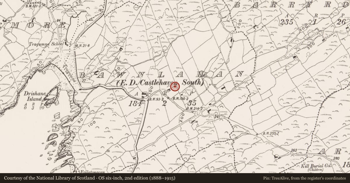 Ordnance Survey six-inch map, 2nd edition (1888–1915) covering the location of Souterrain, Bawnlahan (Carbery West By., Castlehaven Par.), County Cork, with a pin at the register's coordinates