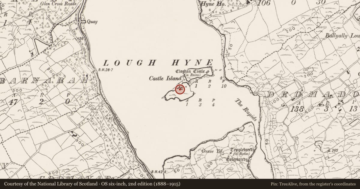 Ordnance Survey six-inch map, 2nd edition (1888–1915) covering the location of Cupmarked stone, Castle Island, County Cork, with a pin at the register's coordinates