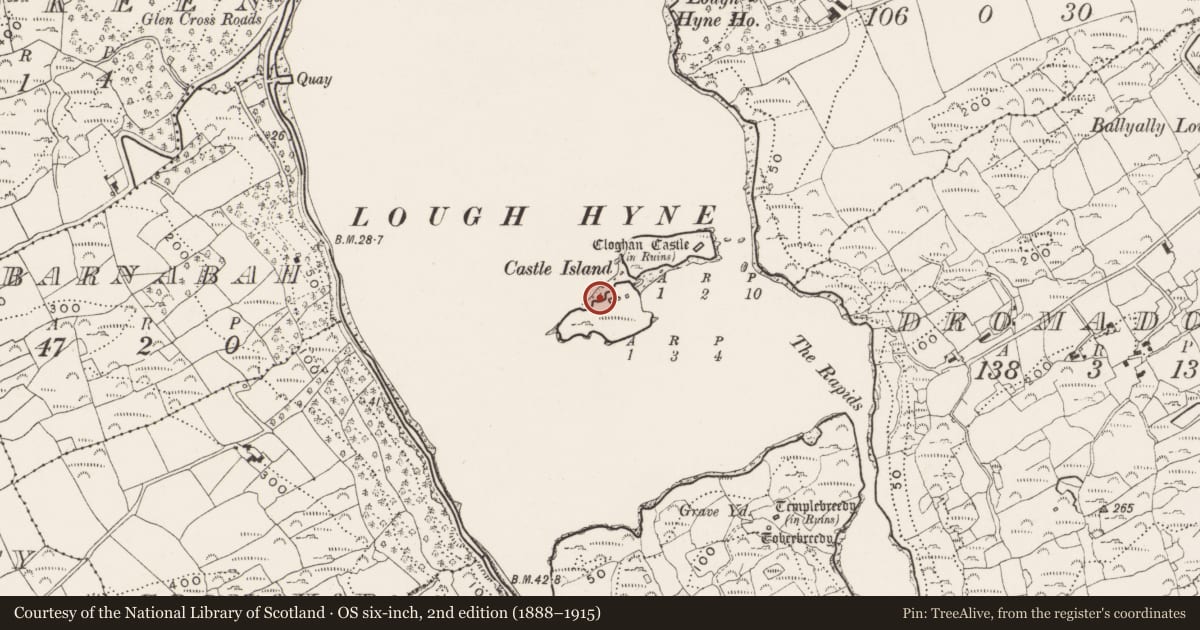 Ordnance Survey six-inch map, 2nd edition (1888–1915) covering the location of Metalworking site, Castle Island, County Cork, with a pin at the register's coordinates