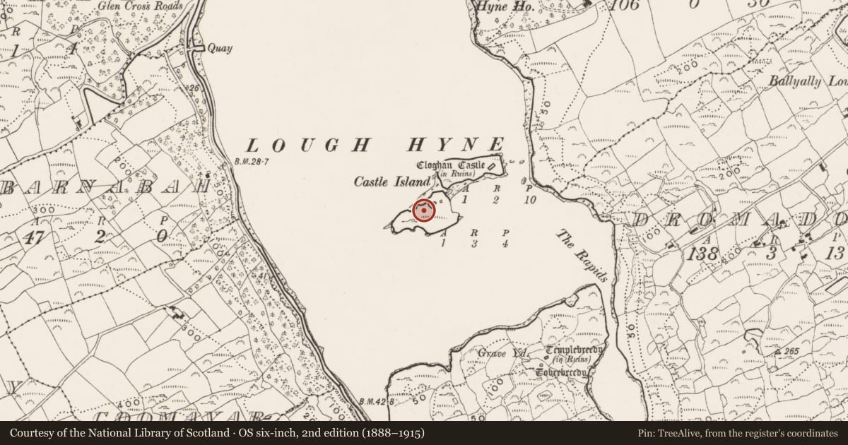 Ordnance Survey six-inch map, 2nd edition (1888–1915) covering the location of Earthwork, Castle Island, County Cork, with a pin at the register's coordinates