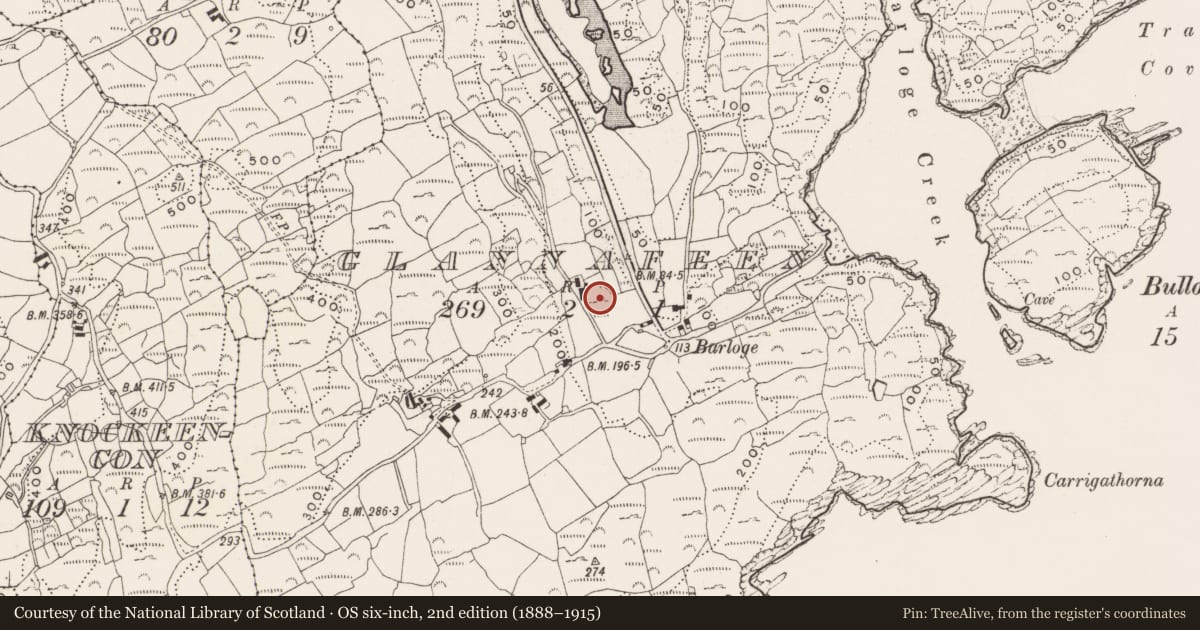 Ordnance Survey six-inch map, 2nd edition (1888–1915) covering the location of Cupmarked stone, Glannafeen, County Cork, with a pin at the register's coordinates