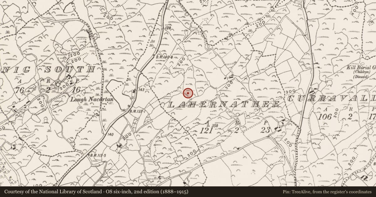 Ordnance Survey six-inch map, 2nd edition (1888–1915) covering the location of Burnt mound, Lahernathee, County Cork, with a pin at the register's coordinates