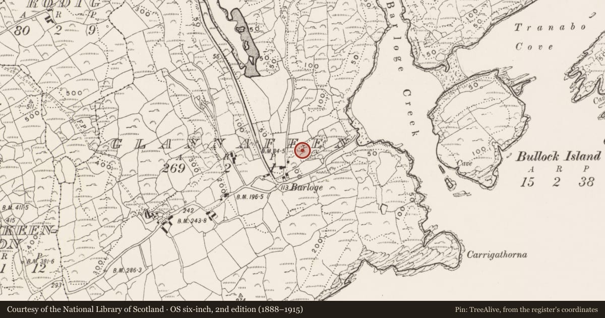 Ordnance Survey six-inch map, 2nd edition (1888–1915) covering the location of Cupmarked stone, Glannafeen, County Cork, with a pin at the register's coordinates