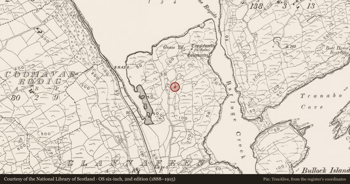 Ordnance Survey six-inch map, 2nd edition (1888–1915) covering the location of Cupmarked stone, Glannafeen, County Cork, with a pin at the register's coordinates