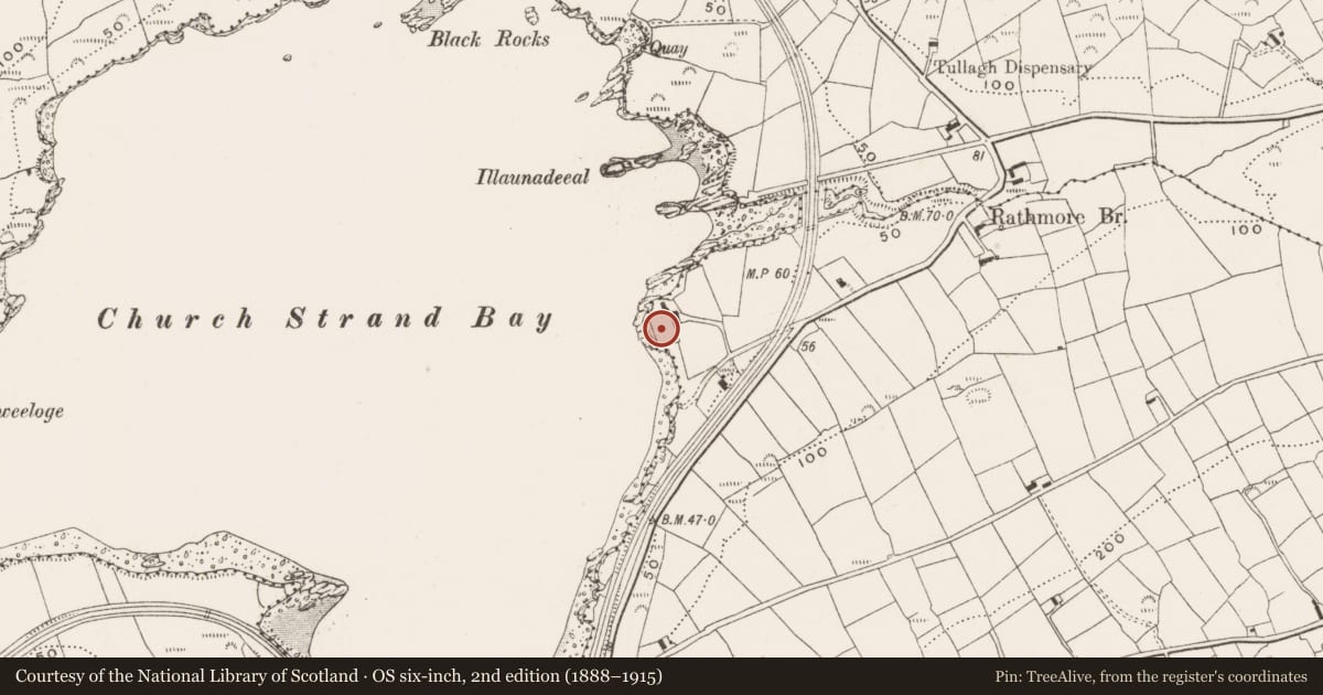 Ordnance Survey six-inch map, 2nd edition (1888–1915) covering the location of Castle - unclassified, Ballylinchy, County Cork, with a pin at the register's coordinates