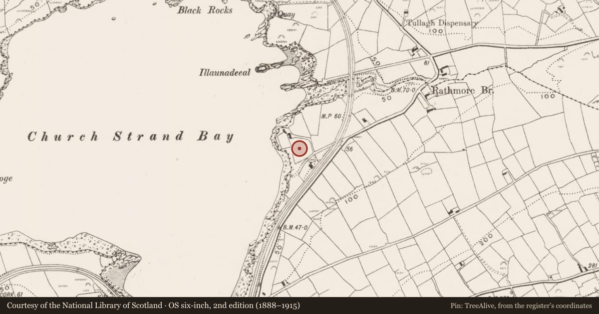 Ordnance Survey six-inch map, 2nd edition (1888–1915) covering the location of Bawn, Ballylinchy, County Cork, with a pin at the register's coordinates