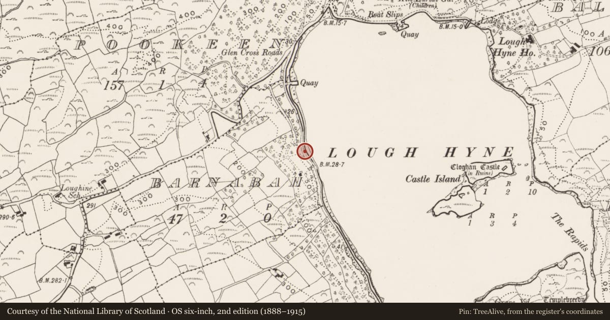 Ordnance Survey six-inch map, 2nd edition (1888–1915) covering the location of Cupmarked stone, Barnabah, County Cork, with a pin at the register's coordinates