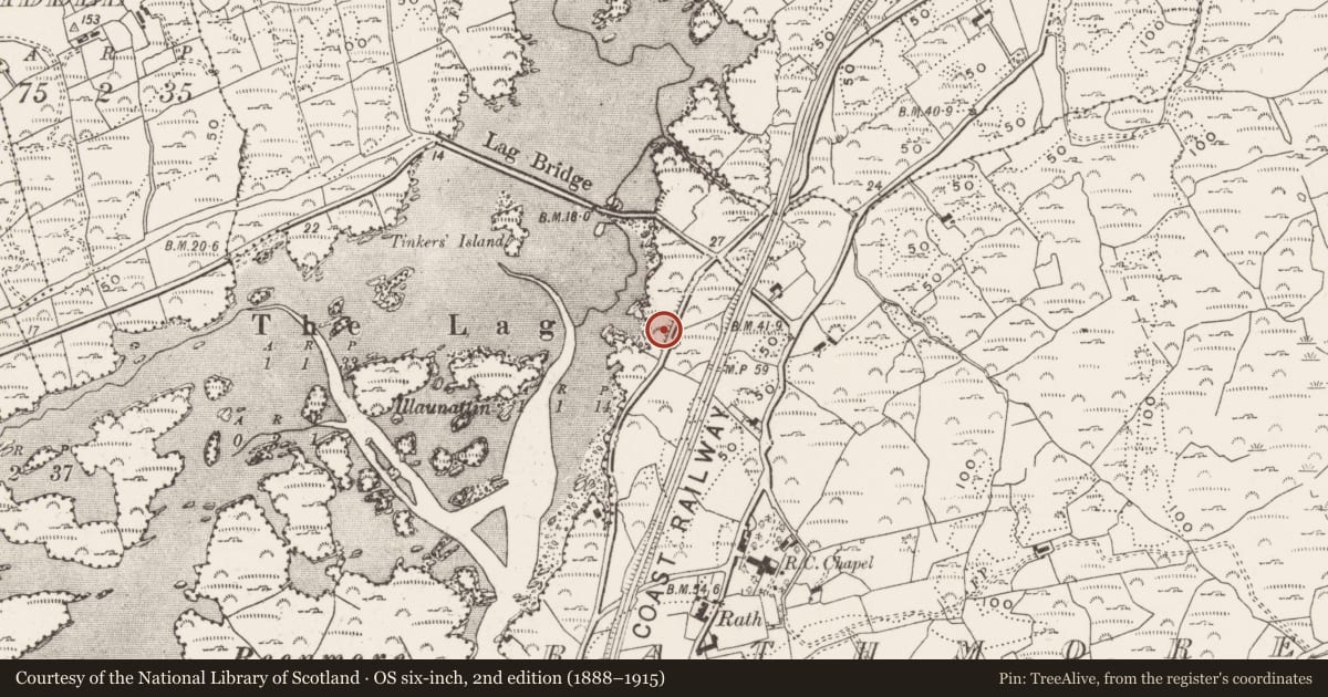 Ordnance Survey six-inch map, 2nd edition (1888–1915) covering the location of Structure, Lackaghane, County Cork, with a pin at the register's coordinates