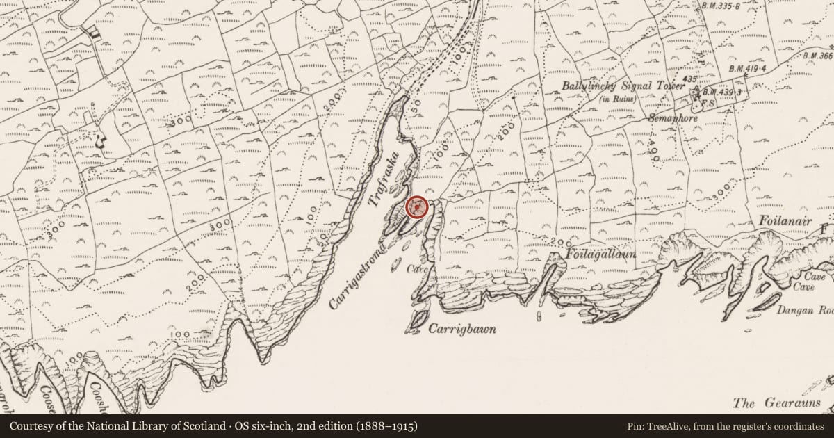 Ordnance Survey six-inch map, 2nd edition (1888–1915) covering the location of Promontory fort - coastal, Ballylinchy, County Cork, with a pin at the register's coordinates