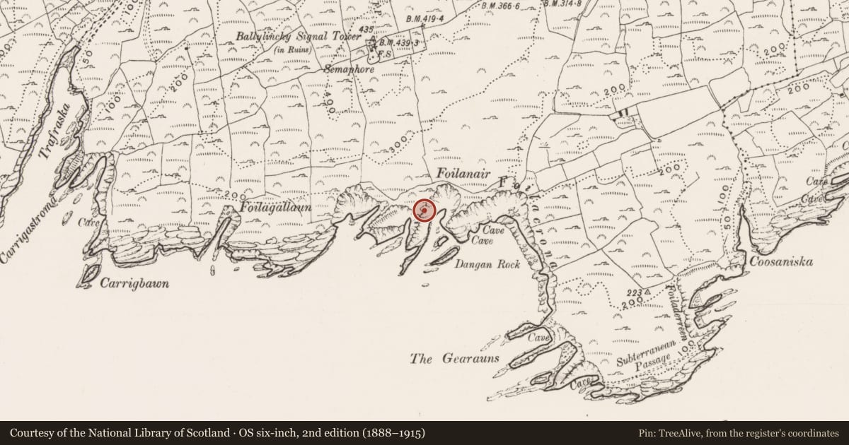 Ordnance Survey six-inch map, 2nd edition (1888–1915) covering the location of Promontory fort - coastal, Ballylinchy, County Cork, with a pin at the register's coordinates