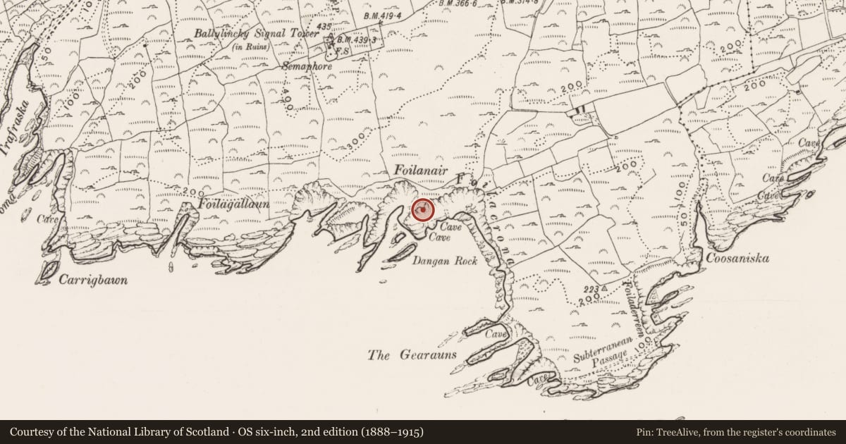 Ordnance Survey six-inch map, 2nd edition (1888–1915) covering the location of Promontory fort - coastal, Ballylinchy, County Cork, with a pin at the register's coordinates