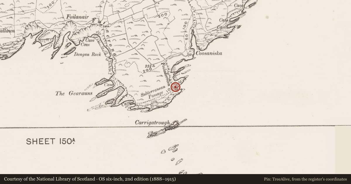 Ordnance Survey six-inch map, 2nd edition (1888–1915) covering the location of Promontory fort - coastal, Ballylinchy, County Cork, with a pin at the register's coordinates
