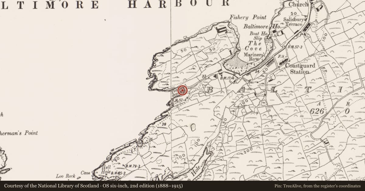Ordnance Survey six-inch map, 2nd edition (1888–1915) covering the location of Quay, Baltimore, County Cork, with a pin at the register's coordinates