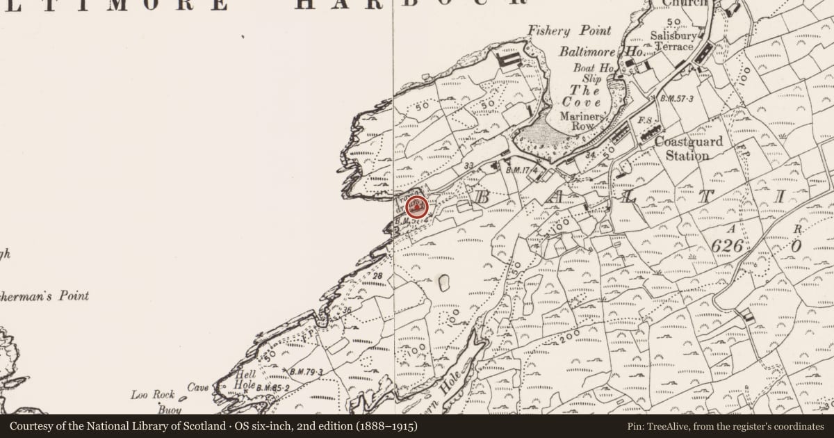 Ordnance Survey six-inch map, 2nd edition (1888–1915) covering the location of Slipway, Baltimore, County Cork, with a pin at the register's coordinates