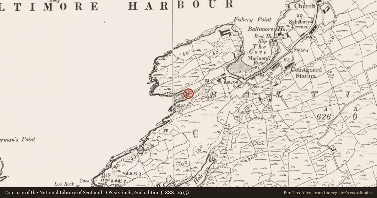 Ordnance Survey six-inch map, 2nd edition (1888–1915) covering the location of Road - road/trackway, Baltimore, County Cork, with a pin at the register's coordinates