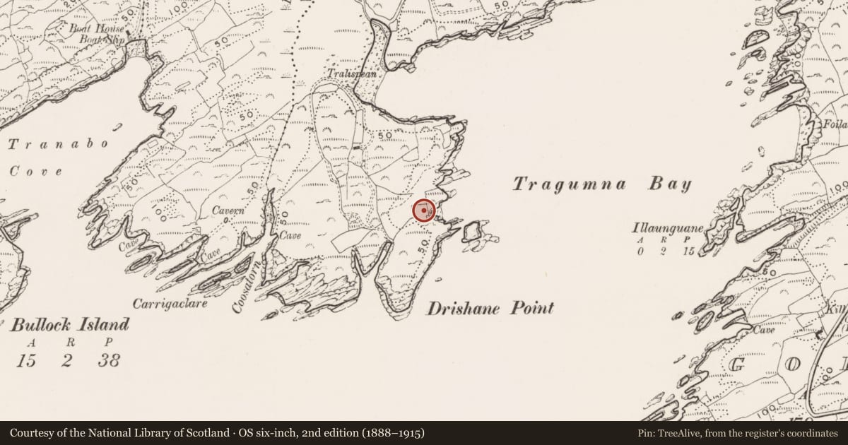 Ordnance Survey six-inch map, 2nd edition (1888–1915) covering the location of Fish palace, Drishane More, County Cork, with a pin at the register's coordinates