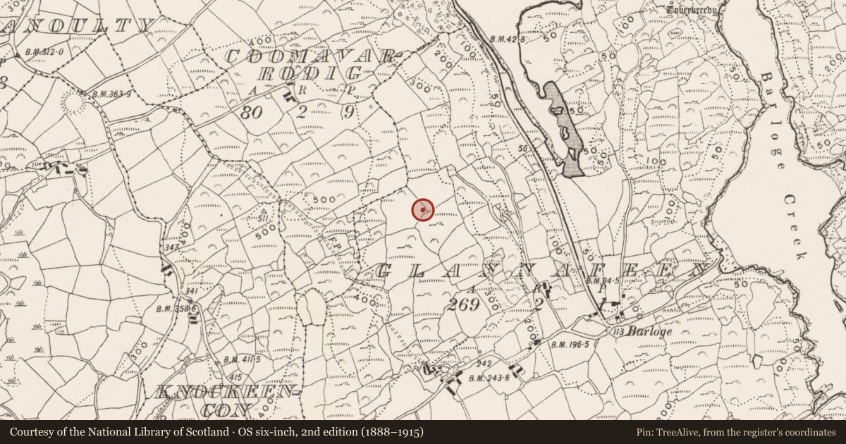 Ordnance Survey six-inch map, 2nd edition (1888–1915) covering the location of Hut site, Glannafeen, County Cork, with a pin at the register's coordinates