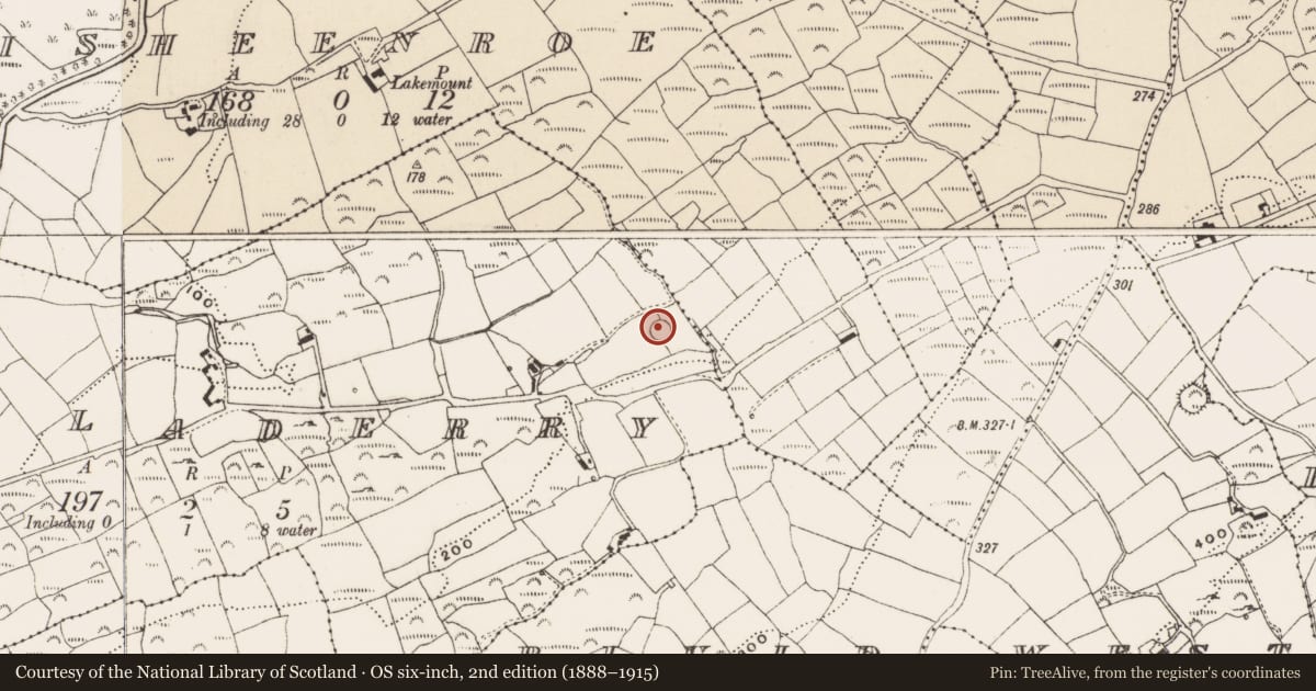Ordnance Survey six-inch map, 2nd edition (1888–1915) covering the location of Ringfort - rath, Killaderry, County Cork, with a pin at the register's coordinates