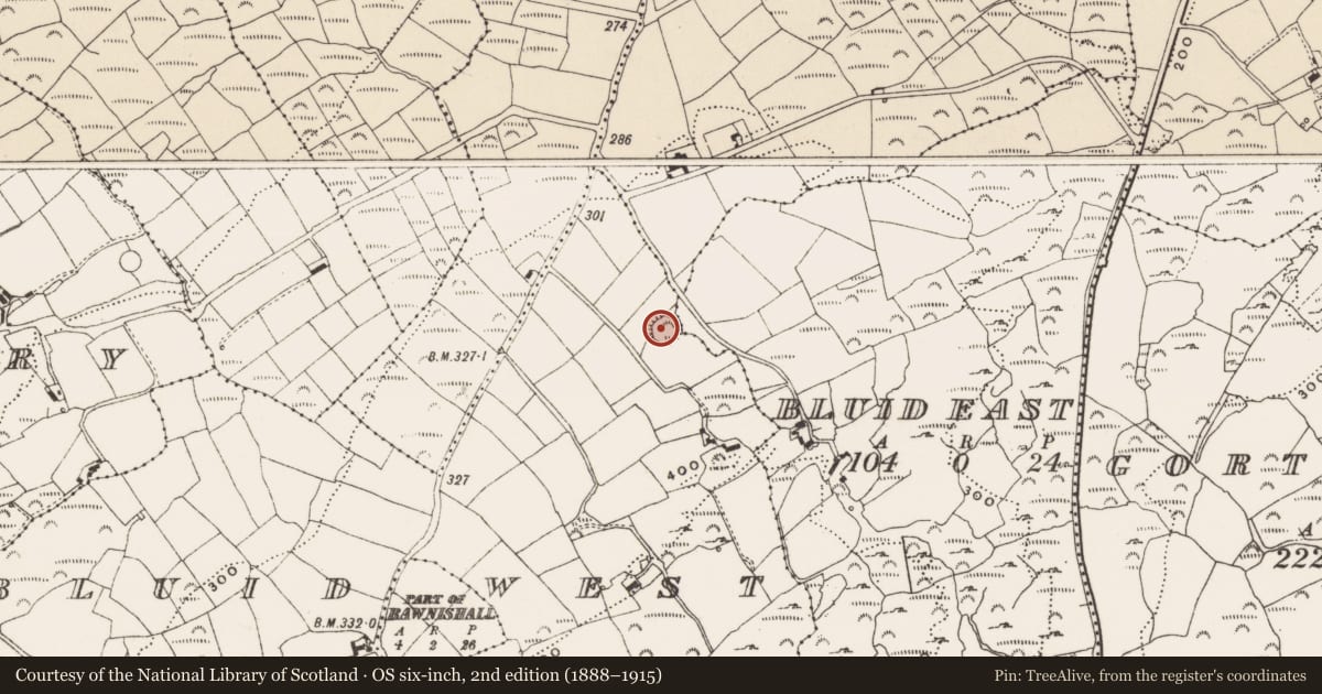 Ordnance Survey six-inch map, 2nd edition (1888–1915) covering the location of Ringfort - rath, Bluid West, County Cork, with a pin at the register's coordinates