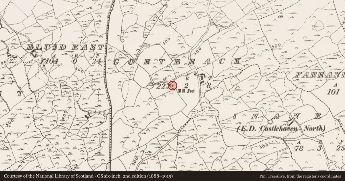 Ordnance Survey six-inch map, 2nd edition (1888–1915) covering the location of Ringfort - rath, Gortbrack, County Cork, with a pin at the register's coordinates