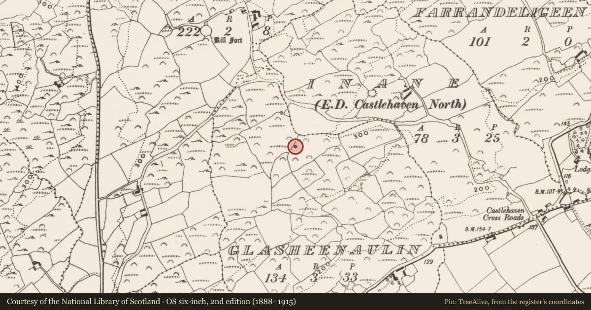 Ordnance Survey six-inch map, 2nd edition (1888–1915) covering the location of Burial ground, Glasheenaulin, County Cork, with a pin at the register's coordinates