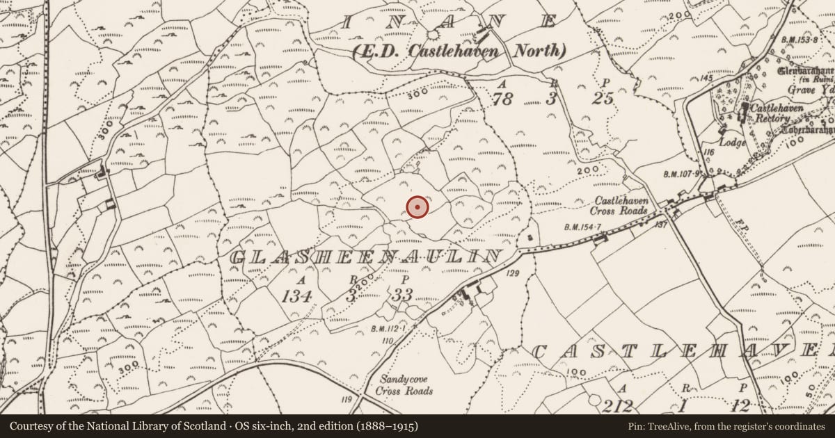 Ordnance Survey six-inch map, 2nd edition (1888–1915) covering the location of Burial ground, Glasheenaulin, County Cork, with a pin at the register's coordinates