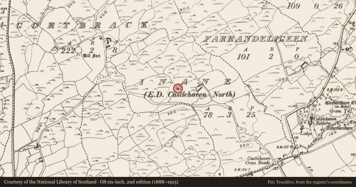 Ordnance Survey six-inch map, 2nd edition (1888–1915) covering the location of Ringfort - rath, Inane, County Cork, with a pin at the register's coordinates