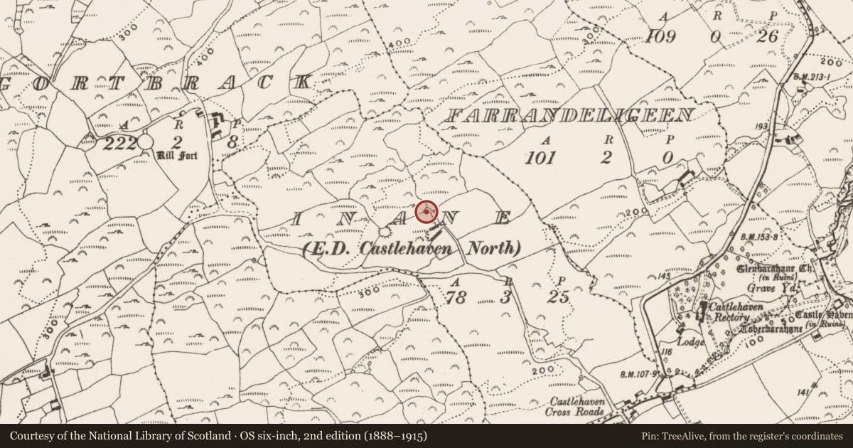 Ordnance Survey six-inch map, 2nd edition (1888–1915) covering the location of Enclosure, Inane, County Cork, with a pin at the register's coordinates