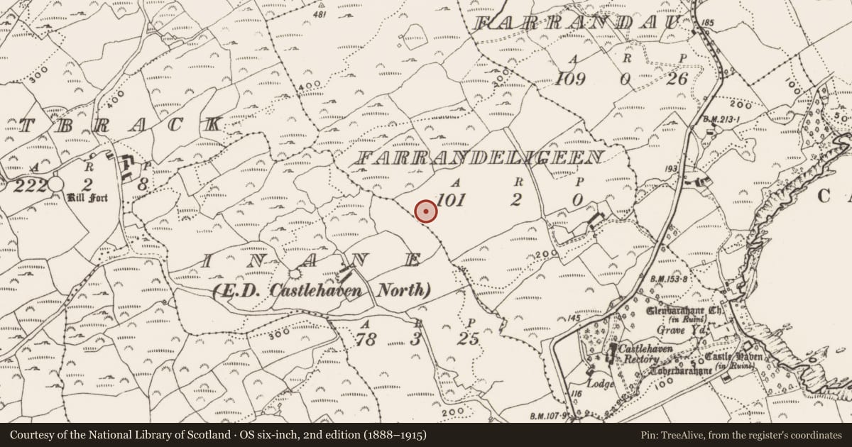 Ordnance Survey six-inch map, 2nd edition (1888–1915) covering the location of Hut site, Farrandeligeen, County Cork, with a pin at the register's coordinates
