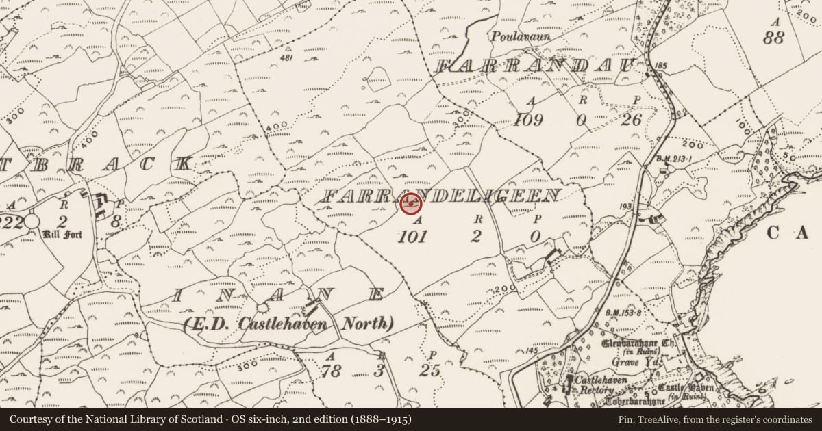 Ordnance Survey six-inch map, 2nd edition (1888–1915) covering the location of Ringfort - rath, Farrandeligeen, County Cork, with a pin at the register's coordinates