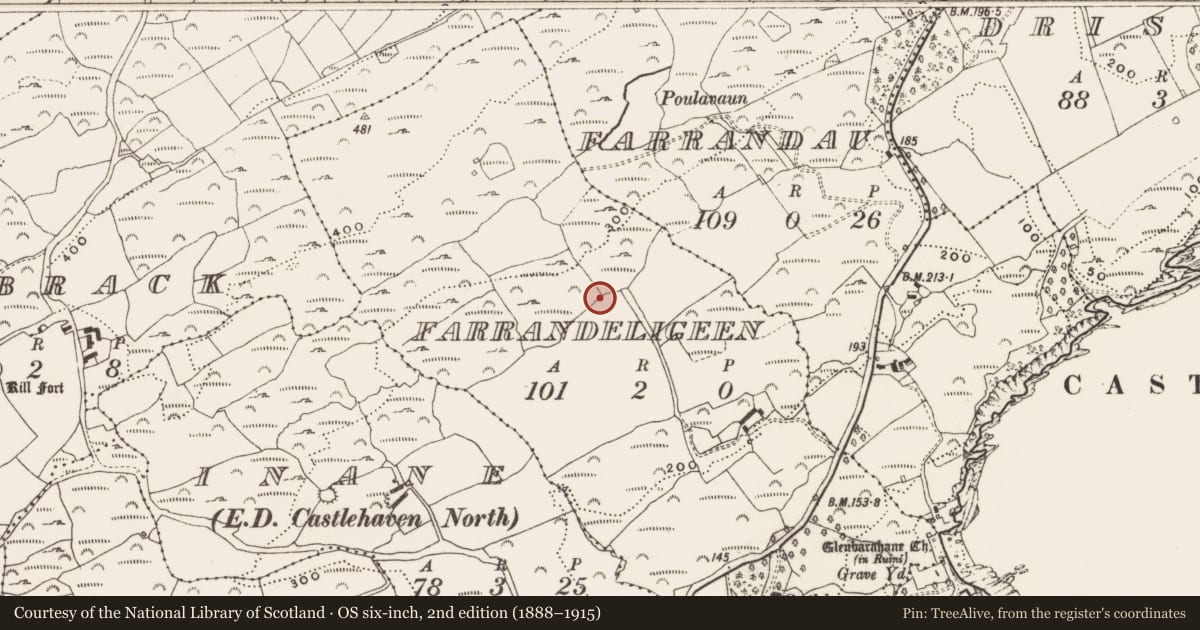 Ordnance Survey six-inch map, 2nd edition (1888–1915) covering the location of Cupmarked stone, Farrandeligeen, County Cork, with a pin at the register's coordinates
