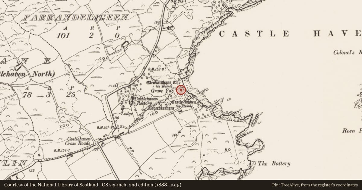 Ordnance Survey six-inch map, 2nd edition (1888–1915) covering the location of Church, Castlehaven, County Cork, with a pin at the register's coordinates
