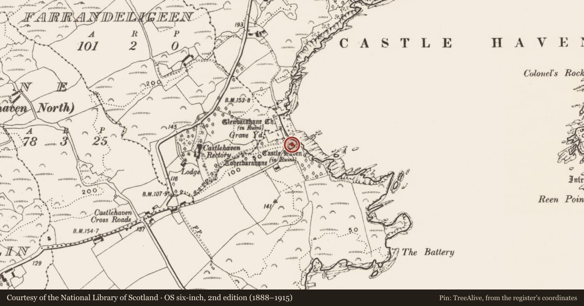Ordnance Survey six-inch map, 2nd edition (1888–1915) covering the location of Castle - tower house, Castlehaven, County Cork, with a pin at the register's coordinates