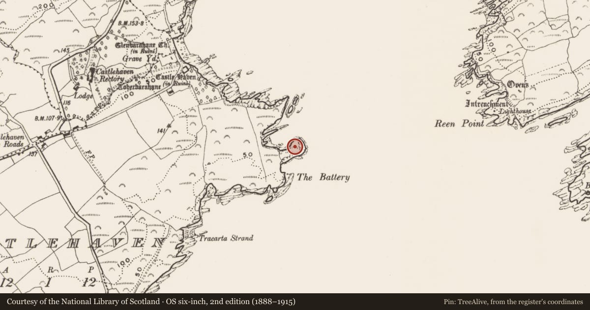 Ordnance Survey six-inch map, 2nd edition (1888–1915) covering the location of Fortification, Castlehaven, County Cork, with a pin at the register's coordinates