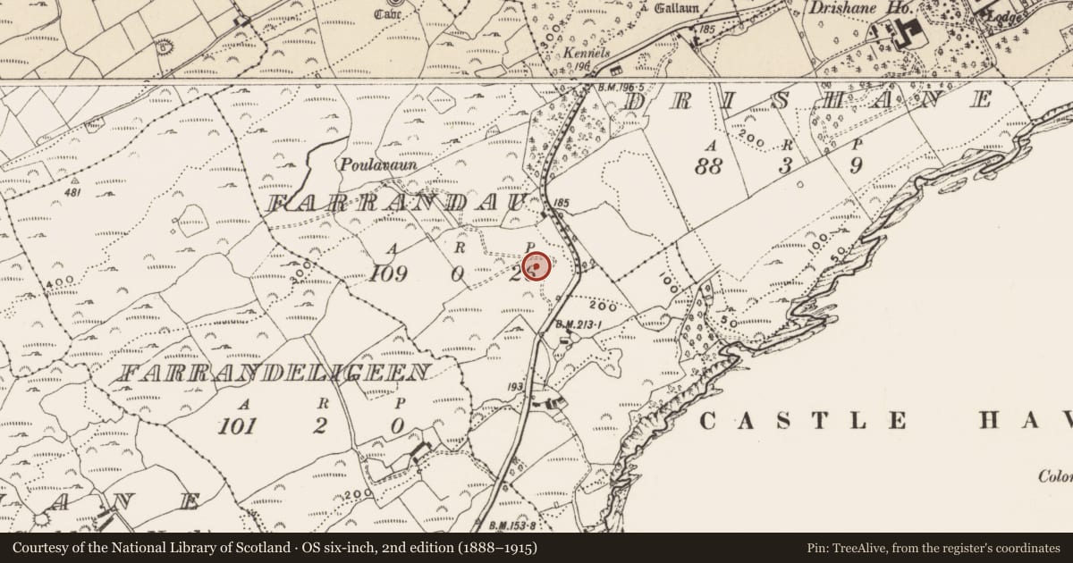Ordnance Survey six-inch map, 2nd edition (1888–1915) covering the location of Ringfort - rath, Farrandau, County Cork, with a pin at the register's coordinates