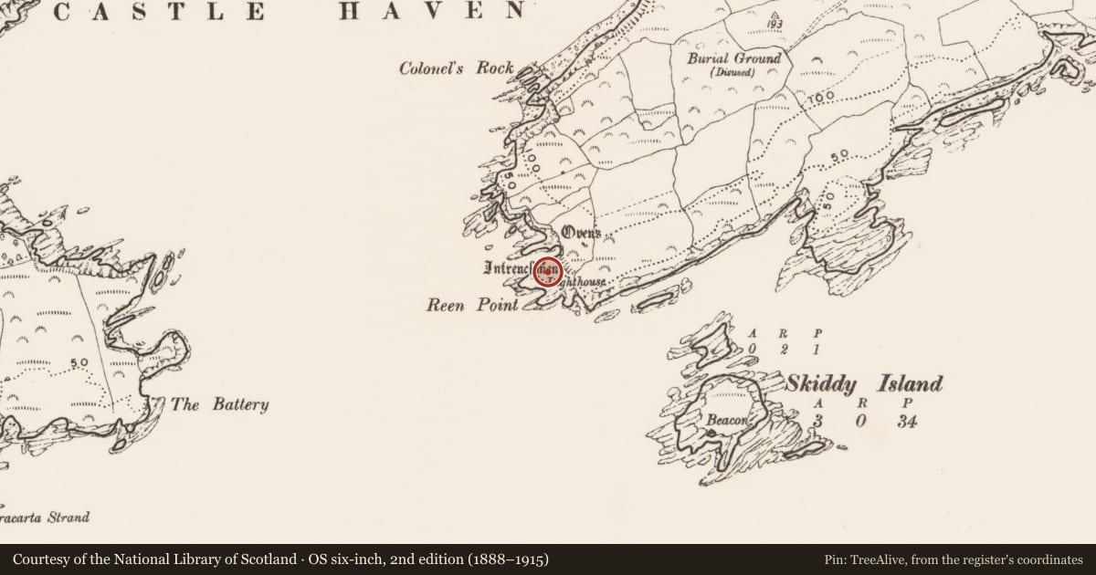 Ordnance Survey six-inch map, 2nd edition (1888–1915) covering the location of Promontory fort - coastal, Reen, County Cork, with a pin at the register's coordinates