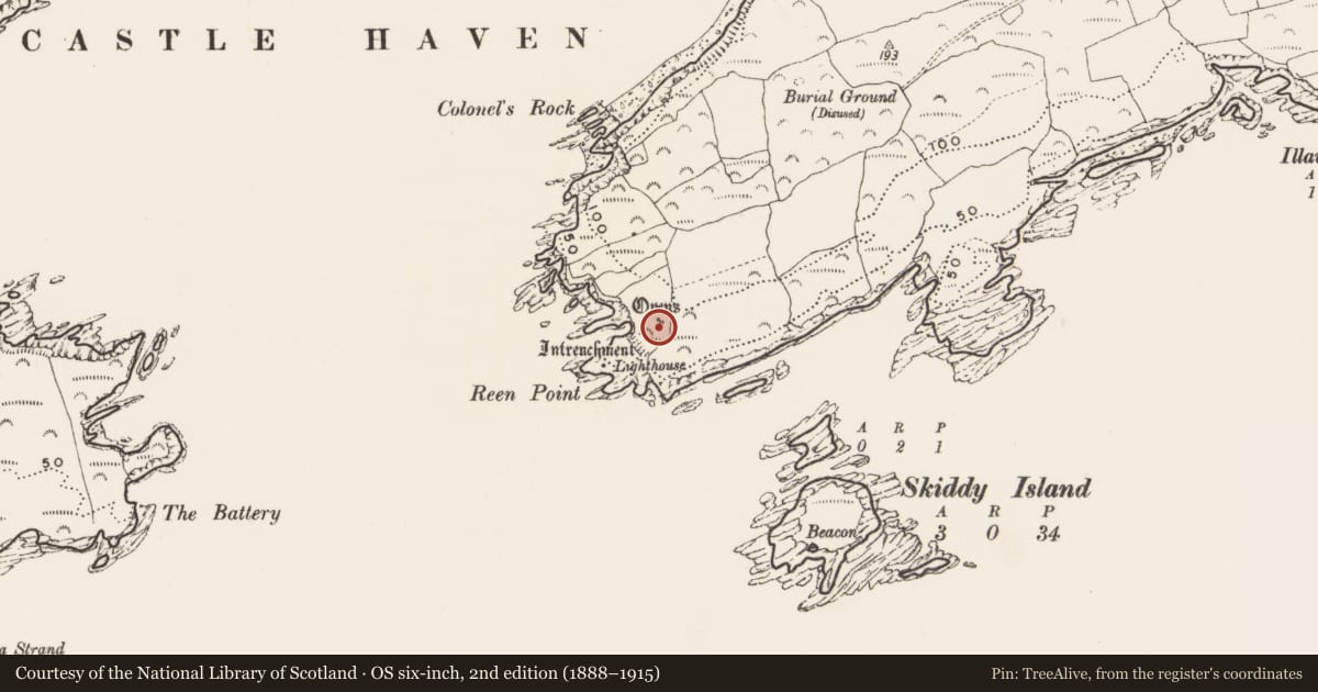 Ordnance Survey six-inch map, 2nd edition (1888–1915) covering the location of Structure, Reen, County Cork, with a pin at the register's coordinates
