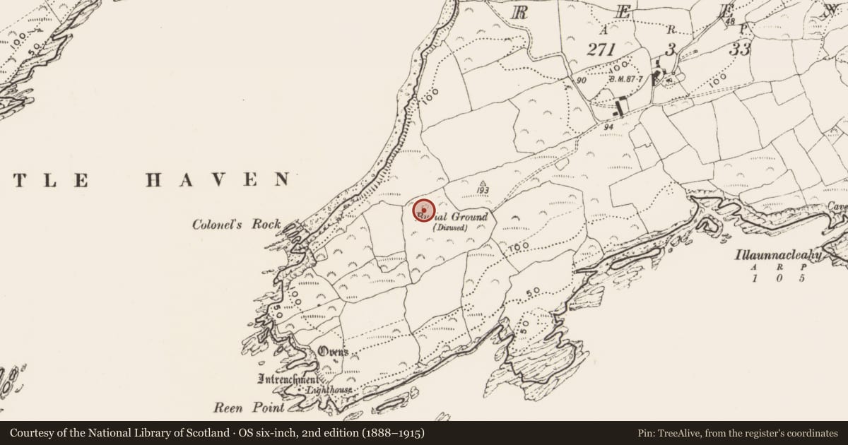 Ordnance Survey six-inch map, 2nd edition (1888–1915) covering the location of Burial ground, Reen, County Cork, with a pin at the register's coordinates
