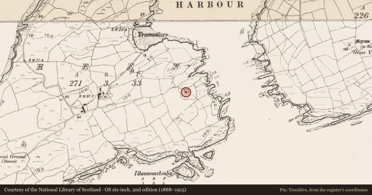 Ordnance Survey six-inch map, 2nd edition (1888–1915) covering the location of Ringfort - cashel, Reen, County Cork, with a pin at the register's coordinates