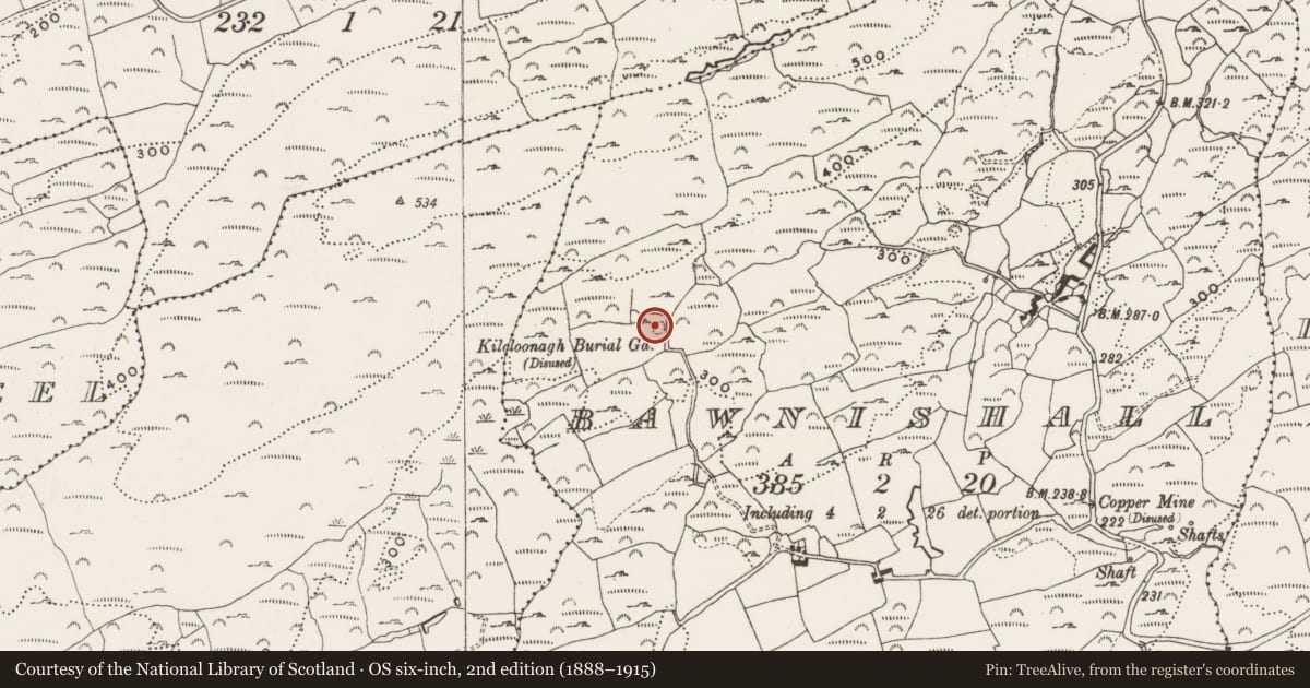 Ordnance Survey six-inch map, 2nd edition (1888–1915) covering the location of Burial ground, Bawnishall, County Cork, with a pin at the register's coordinates