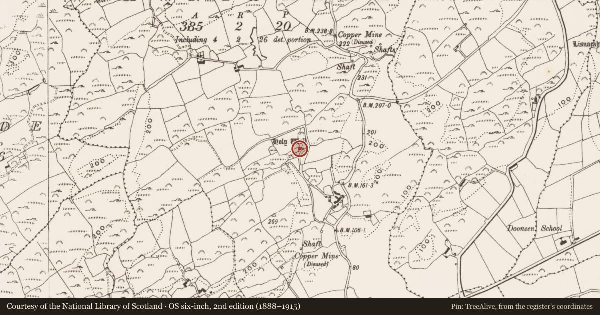 Ordnance Survey six-inch map, 2nd edition (1888–1915) covering the location of Ritual site - holy well, Bawnishall, County Cork, with a pin at the register's coordinates