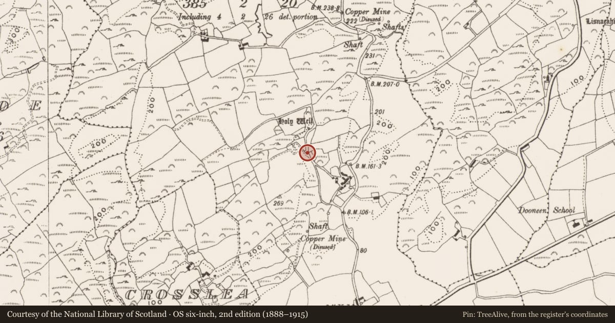 Ordnance Survey six-inch map, 2nd edition (1888–1915) covering the location of Ritual site - holy well, Bawnishall, County Cork, with a pin at the register's coordinates