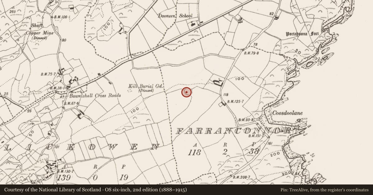 Ordnance Survey six-inch map, 2nd edition (1888–1915) covering the location of Ringfort - rath, Farranconnor, County Cork, with a pin at the register's coordinates