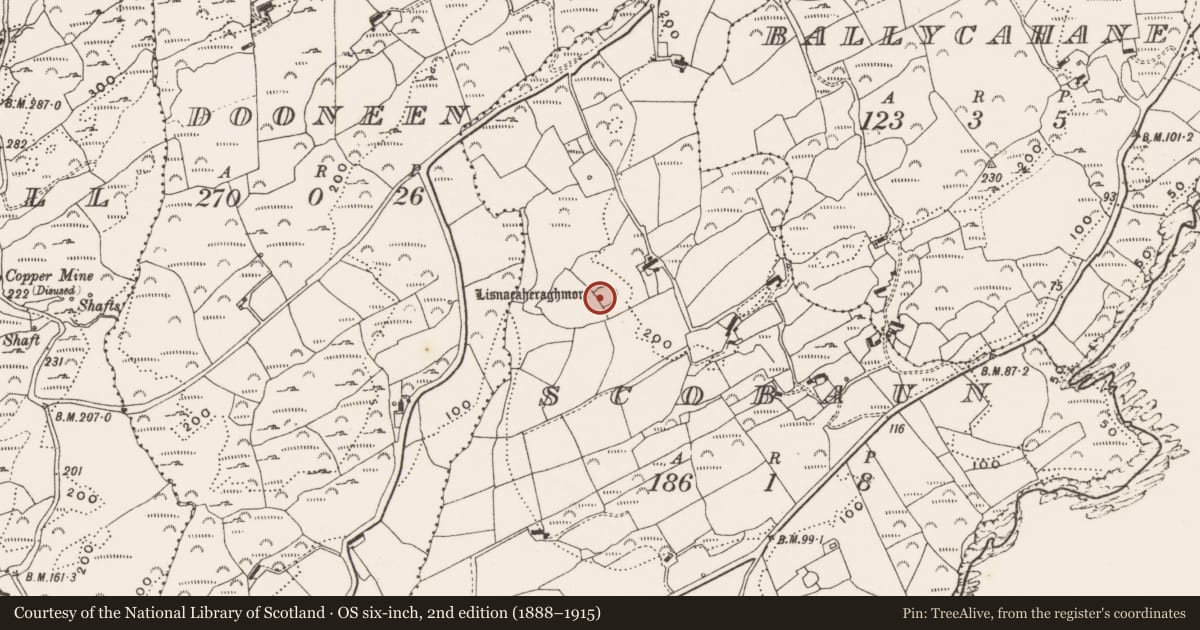 Ordnance Survey six-inch map, 2nd edition (1888–1915) covering the location of Ringfort - rath, Scobaun, County Cork, with a pin at the register's coordinates