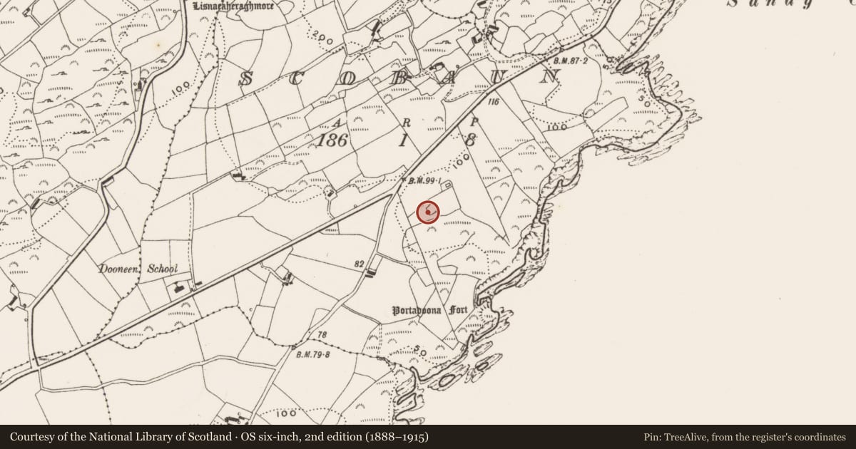 Ordnance Survey six-inch map, 2nd edition (1888–1915) covering the location of Enclosure, Scobaun, County Cork, with a pin at the register's coordinates