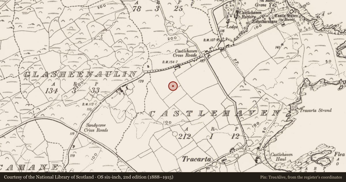 Ordnance Survey six-inch map, 2nd edition (1888–1915) covering the location of Standing stone, Castlehaven, County Cork, with a pin at the register's coordinates