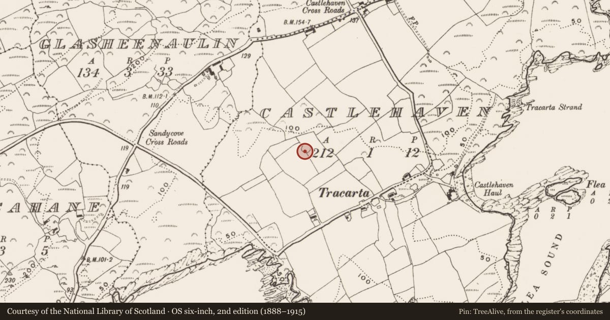 Ordnance Survey six-inch map, 2nd edition (1888–1915) covering the location of Ringfort - rath, Castlehaven, County Cork, with a pin at the register's coordinates