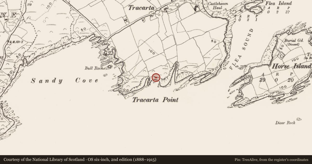 Ordnance Survey six-inch map, 2nd edition (1888–1915) covering the location of Ringfort - rath, Castlehaven, County Cork, with a pin at the register's coordinates