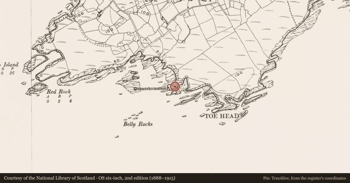 Ordnance Survey six-inch map, 2nd edition (1888–1915) covering the location of Promontory fort - coastal, Toehead, County Cork, with a pin at the register's coordinates